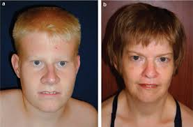 Welcome to The Visible Embryo