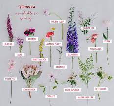 Seasonal Flower Guide Spring Green Wedding Shoes Seasonal Flowers Flower Guide Spring Wedding Bouquets