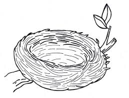 Sparrow Bird Drawing For Kids With Colour 4 Best Images Of Bird Nest Printable Bird Nest Coloring Page Free Printable Bird Nest And Sparrow Bird Nest E Bird Coloring Pages Coloring Pages Nest Images