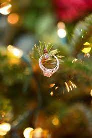 Pin By Theresa Rose On Weddings Christmas Wedding Christmas Engagement Wedding Pictures