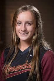 2017 All-Nebraska softball: Honorees always brought their best to the table