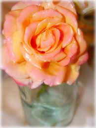Rotating it will help spread the wax all over the flower petals and cause any excess to drip off. Suzy Homefaker Wax Dipped Flowers Bloem Ambachten Knutselen Met Kaarsvet Wasbloemen