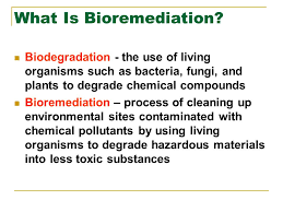 Bioremediation is the use of microbes to clean up contaminated soil and groundwater. Chapter Contents 1 What Is Bioremediation 2 Bioremediation Basics Ppt Video Online Download