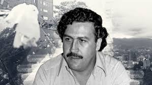 El “ejército de nerds” que desbarató la riqueza de Pablo Escobar en Estados  Unidos: agente cubana contó su historia - Infobae