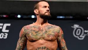 Cm punk's mma career 'should be a wrap'. Cm Punk Updates On Status With The Ufc Bjpenn Com