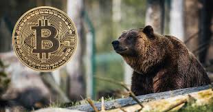 The bear market can be downright brutal. Welcome To The Longest Crypto Bear Market In History Finance And Funding Altcoin Buzz