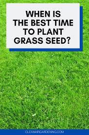 Pin On Gardening 101