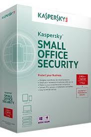 Kaspersky Small Office Security Network 118