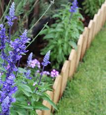 6 Astuces Pour Des Bordures De Jardin Impeccables Bordure Jardin Bordure Jardin Bois Bordure De Jardin