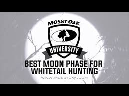The Effect Moon Phase Has On Hunting Deer Mossy Oak