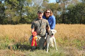 The mother annie is an awesome dog: Lab Puppies Bar A Kennels Llc