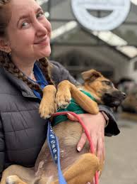 I am not a cat person, I am not a dog person