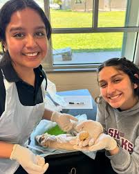 🐷🧠 Exploring anatomy up close! Last week, PLTW Year 4 students got  hands-on with a full pig autopsy, including a detailed exploration of the  brain! 📚💡 #sfhssharks #collegeprep #STEMEducation #HandsOnLearning #PLTW  #PigAutopsy #BiomedicalInnovation