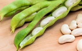 Can Dogs Eat This Epic Guide To 105 Foods Apples Bananas Grapes Berries Watermelon My Bones And Biscuits Lima Beans Butter Beans Beans