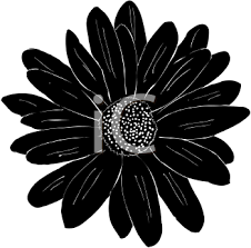 Black And White Daisy Flower Clipart Daisy Silhouette Free Clip Art Silhouette Clip Art Clip Art