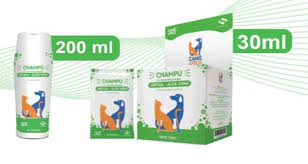 Image result for Aloe canis