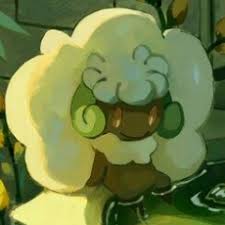 Full Focus Sash Pokemon Team! ( Sturdy Focus Sash Shuckle Birthday Special  ) - Youtube