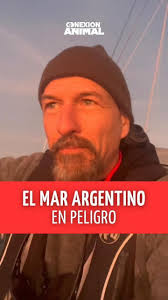 EL MAR ARGENTINO EN PELIGRO! ⛔️⚠️ 🌊, Seguimos con @conexionanimalnet en el  Witness, el velero Estrella de @greenpeacearg navegando en el mar  Argentino, dando visibilidad a esta dramática posibilidad ...