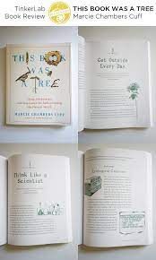 You should review all aspects of the story. This Book Was A Tree Book Review Tinkerlab