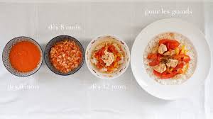 Poulet Basquaise Pour Bebe Et Toute La Famille Cuisinez Pour Bebe Recette Idee Recette Barbecue Cuisine Recette Poulet Basquaise