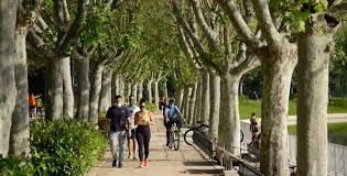 Pisos y viviendas en alquiler en casa de campo, madrid. Casa De Campo Turismo Madrid