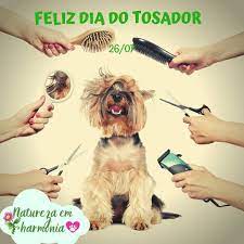 pin em marketing digital