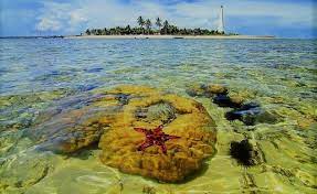 Mengingat samarinda adalah kota yang dibelah oleh sungai besar, tentu aktivitas memancing menjadi hal yang sangat lumrah. Ini Lho 5 Tempat Wisata Di Samarinda Yang Kece Di Instagram Lazuva Com Tempat Wisata Indonesia Pariwisata Indonesia