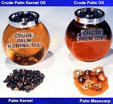 It is also the country's oldest derivatives contract. 4 The Example Of Palm Kernel And Pko And Mesocarp And Cpo Choo Download Scientific Diagram