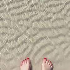 3,913 likes · 3 talking about this · 1 was here. Shannon Bream S Feet Wikifeet
