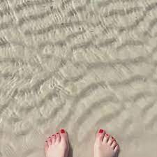 Mar 21, 2021 · librivox about. Shannon Bream S Feet Wikifeet