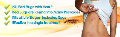 During pest control inspection found hundreds of bed bugs at the corner of the mattress. Bed Bugs Treatment In Thane Steam Treatment For Bed Bugs In Thane Bed Bugs Control In Mumbai Khatmal Treatment In Mumbai Bed Bugs Pest Control Services In Mumbai Dust Mites Control In