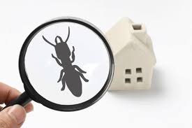 Want to find out how to start a pest control business? How To Start A Pest Control Business In The Uk Fantastic Franchise Uk