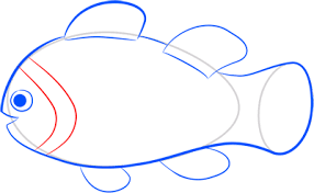 These videos are here to help inspire young kids to draw, or you can use them as. How Easy To Draw A Clown Fish Step By Step Drawings Easy To Draw Everything
