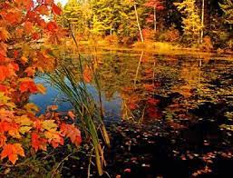 Free Signs Of Fall Screensaver Hd Fall Screensaver To Download Fall Wallpaper Desktop Wallpaper Fall Fall Pictures