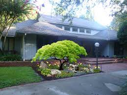 Tallahassee Landscapers Dickerson Landscaping 850 422 3001 Design Plans Landscap Japanese Maple Garden Landscaping With Japanese Maple Japanese Maple