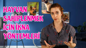 Ailenizi Evcil Hayvan Almaya Ikna Etmenin 14 Sasmaz Yolu Youtube