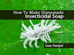 Insecticidal soap is used to control many plant insect pests. How To Make Homemade Insecticidal Soap A Recipe Insecticidal Soap Diy Insecticidal Soap Garden Pests