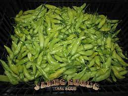 The show is hosted by chef bonita hussey, who shares her love for cooking traditional newfoundland meals and recipes. Italian Wax Pepper Seeds Pickling Jake S Seeds