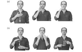 Good for homeschool sign language classes, parents (baby signing), interpreters, and people who just want to learn fun asl phrases like hello. 1 Examples Of One Handed And Two Handed Signs From Ngt A One Handed Download Scientific Diagram