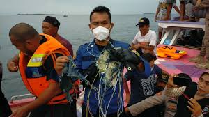 We have located the position of the black boxes, both of them, said soerjanto tjahjono, head of indonesia's transport safety committee, quoted by afp earlier on sunday. Oeghywyje818rm