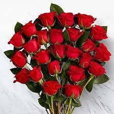 24 Red Roses No Vase Red Rose Flower Beautiful Rose Flowers Flower Delivery