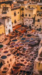 Paula Markarian (paumarkarian)」のプロフィール｜Pinterest