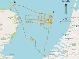 Humans May Have Inhabited A Sunken Underwater City In The North Sea Evidence Suggests Underwater City North Sea University Of Wales