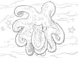 coloriage pieuvre coloriages a imprimer gratuits rose