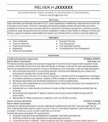 credit collection specialist resume