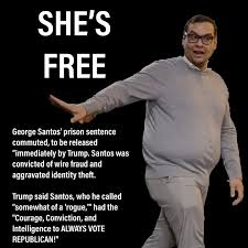 Former Rep George Santos Free After Pardon by Trump