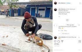 Cari loker mejasem tegal : Pungut Dan Rawat Kucing Liar Yang Sakit Aksi Pria Asal Tegal Ini Viral Joglosemar News