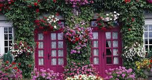 Google Image Result For Http Www Picturescolourlibrary Co Uk Loreswithlogo 2074768 Jpg Flower Garden Images Beautiful Doors Flowers