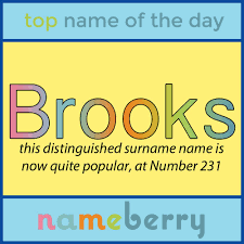 For Some Reason Brooks Has A Lot More Masculine Heft Than Brook Or Brooklyn Cool Baby Names Names With Meaning Baby Names