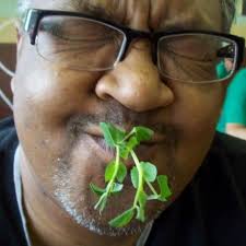 Sean NAIPAUL Obituary (2014)